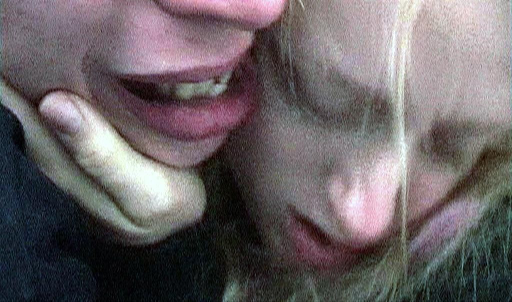 Galeriebild des Projekts Povratnik / Heimkehrer