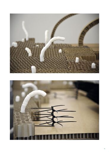 FALSE SPRING Galeriebild des Projekts FALSE SPRING
