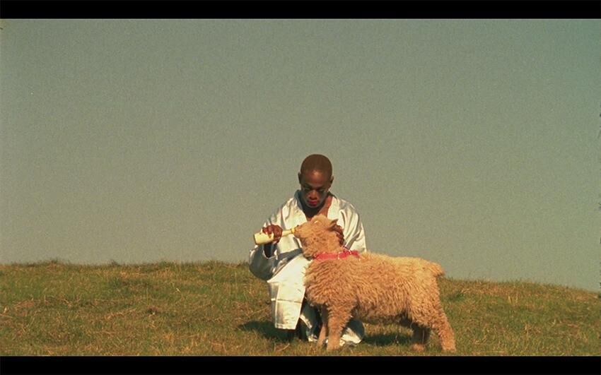 Galeriebild des Projekts PARADIES 3000