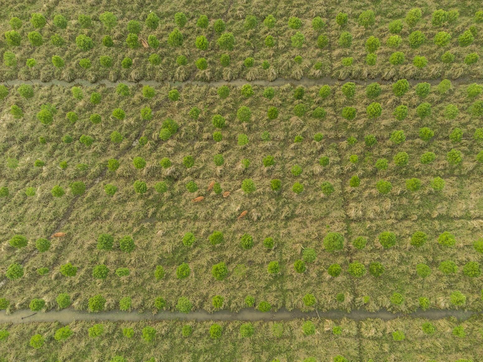 Galeriebild des Projekts Liang Zhu’s Diploma Project