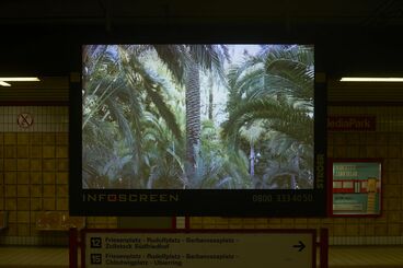 „Palmeral” von Sara Hoffmann Galeriebild des Projekts Public Space Video