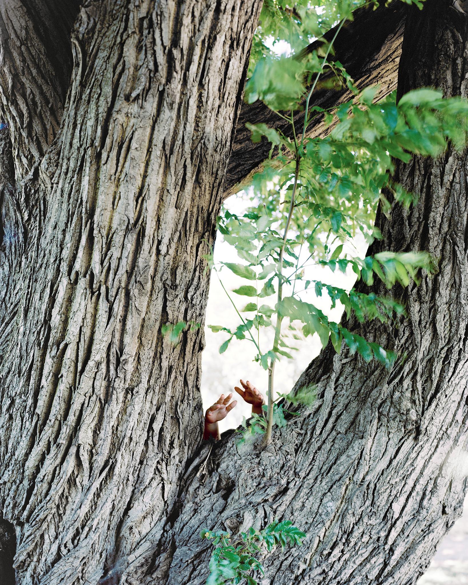 Galeriebild des Projekts Songs of Sanity