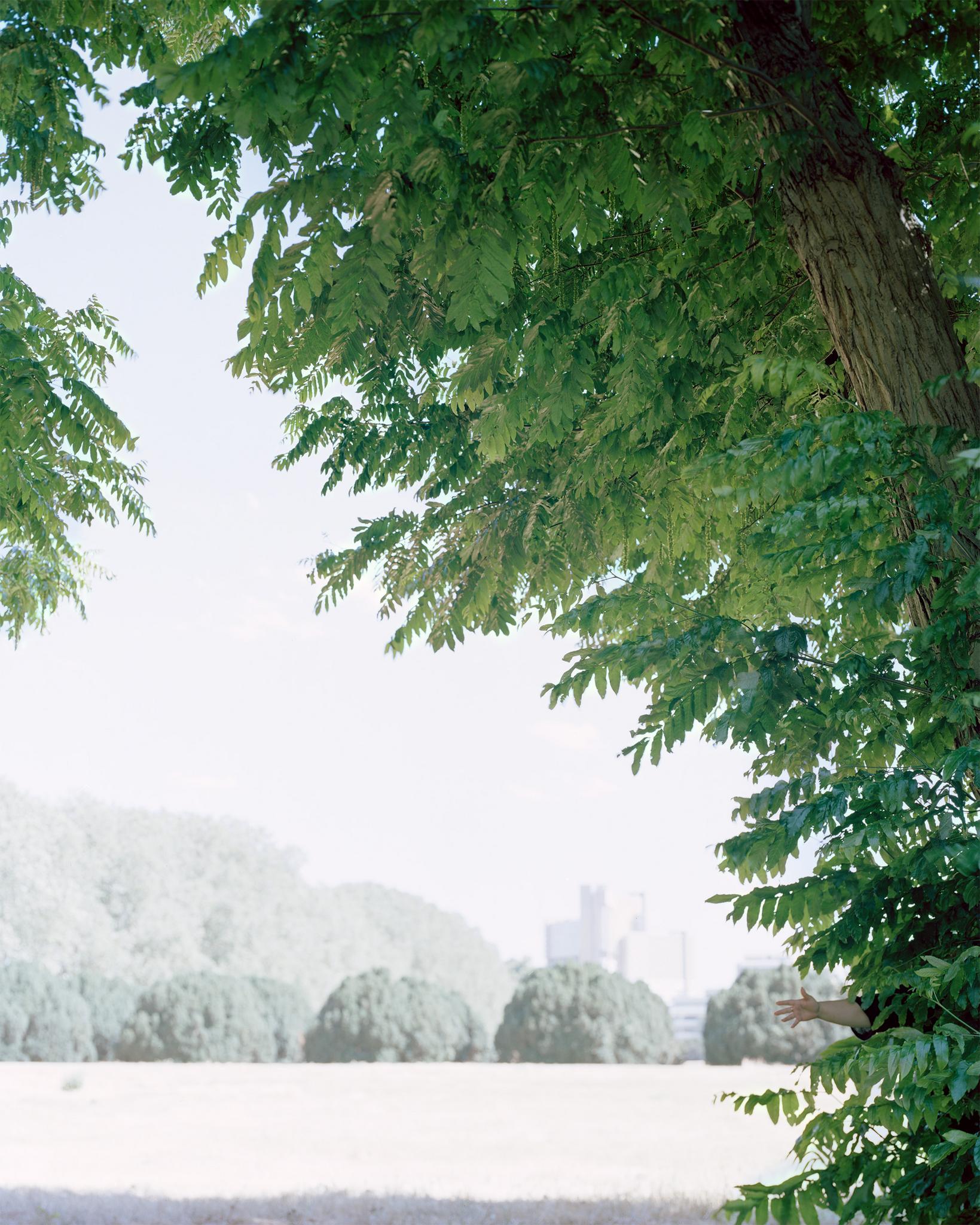 Galeriebild des Projekts Songs of Sanity