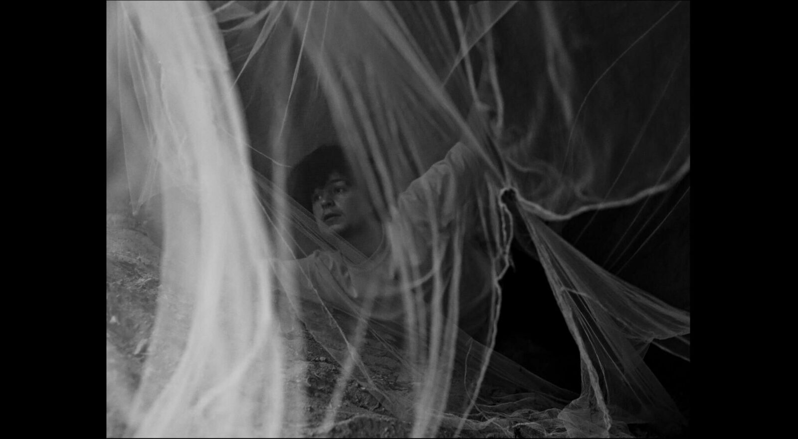 Titelbild des Projekts Movie Machine