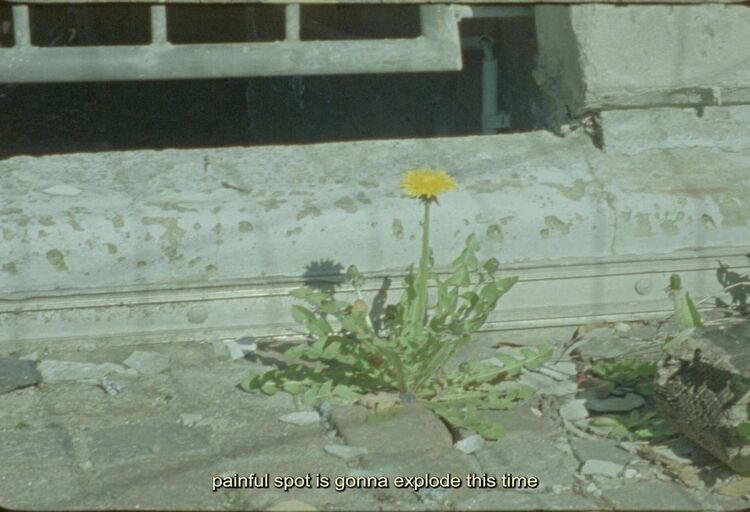 Titelbild des Projekts I carry them in me