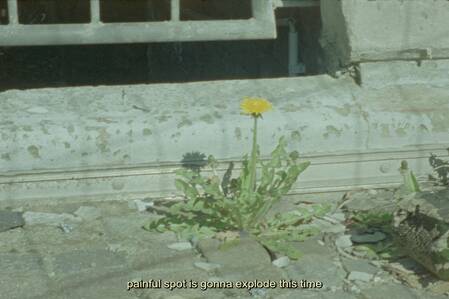 © Anzhelika Ustymenko