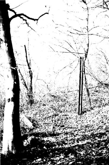 Enklave auf AGFA Ortho 07/1990 Titelbild des Projekts Enklave auf AGFA Ortho 07/1990