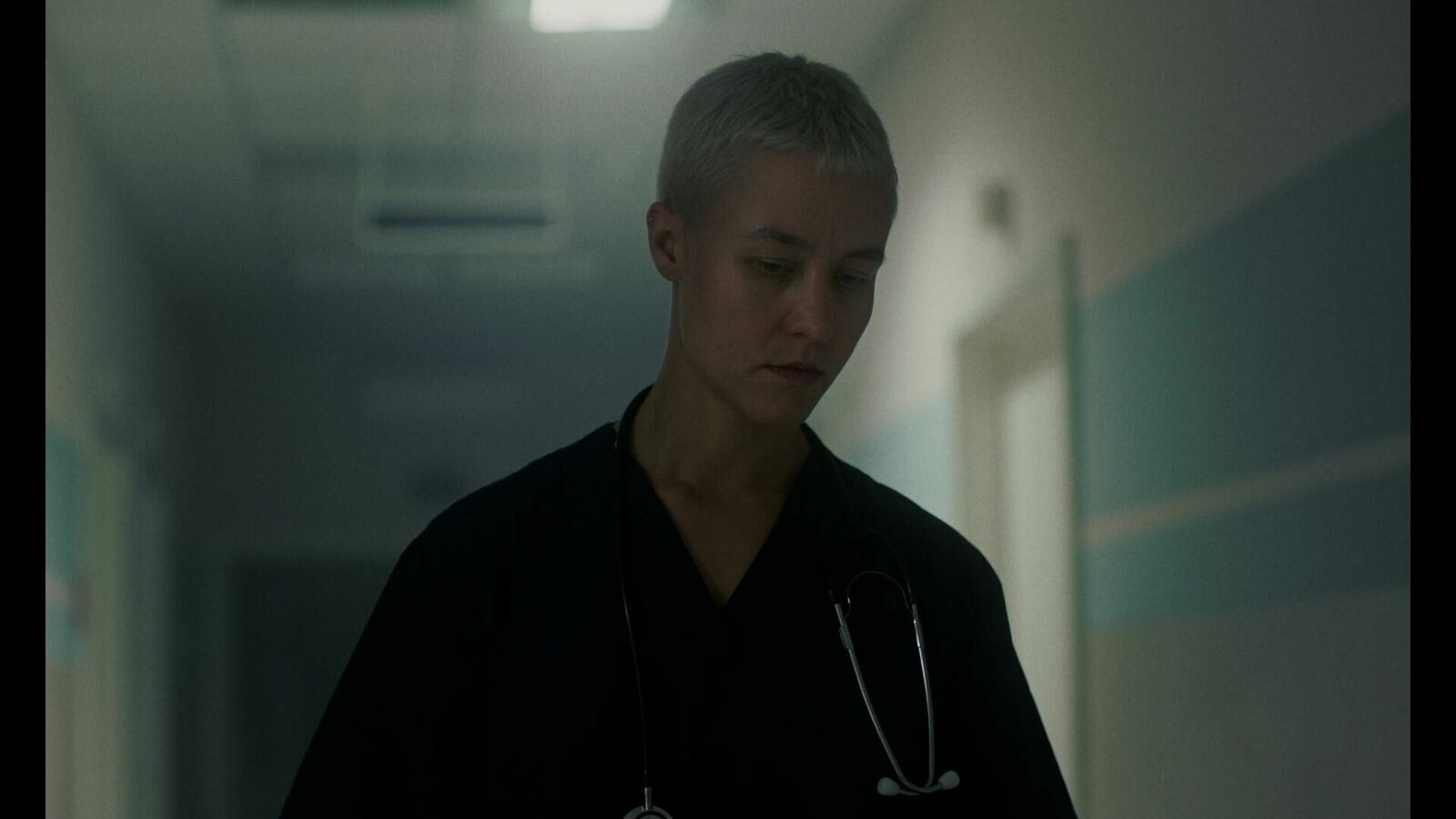 Galeriebild des Projekts Katzenbellen