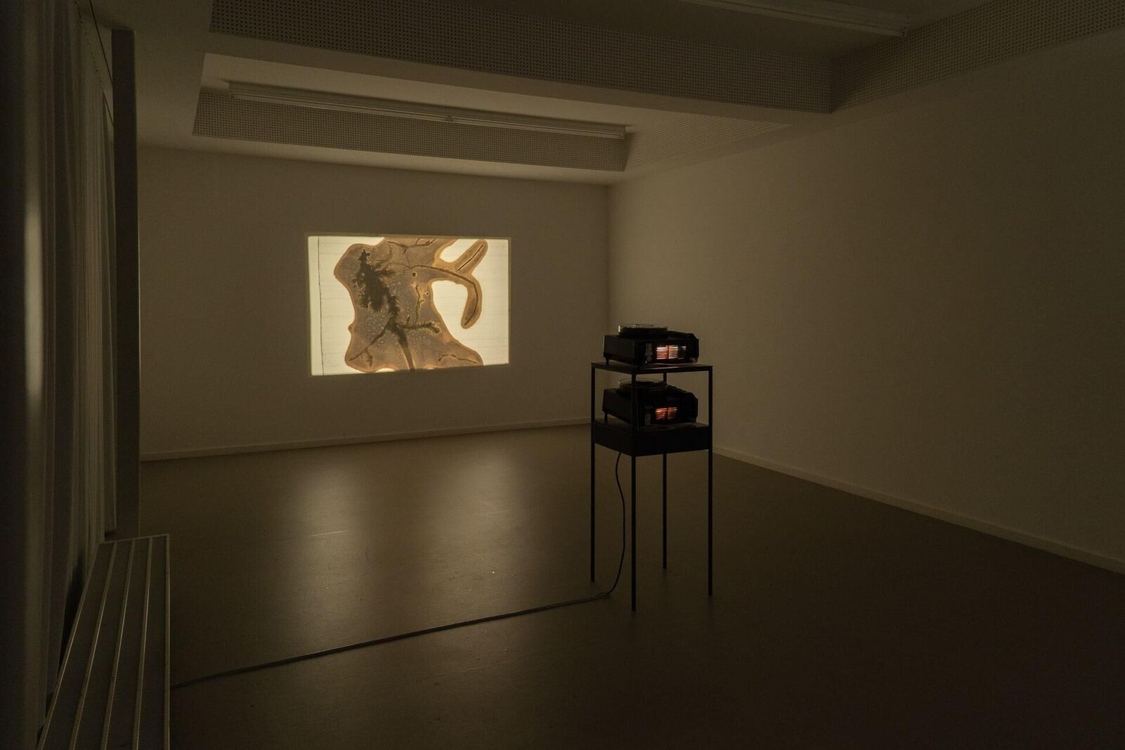 Titelbild des Projekts Swamp optical trance