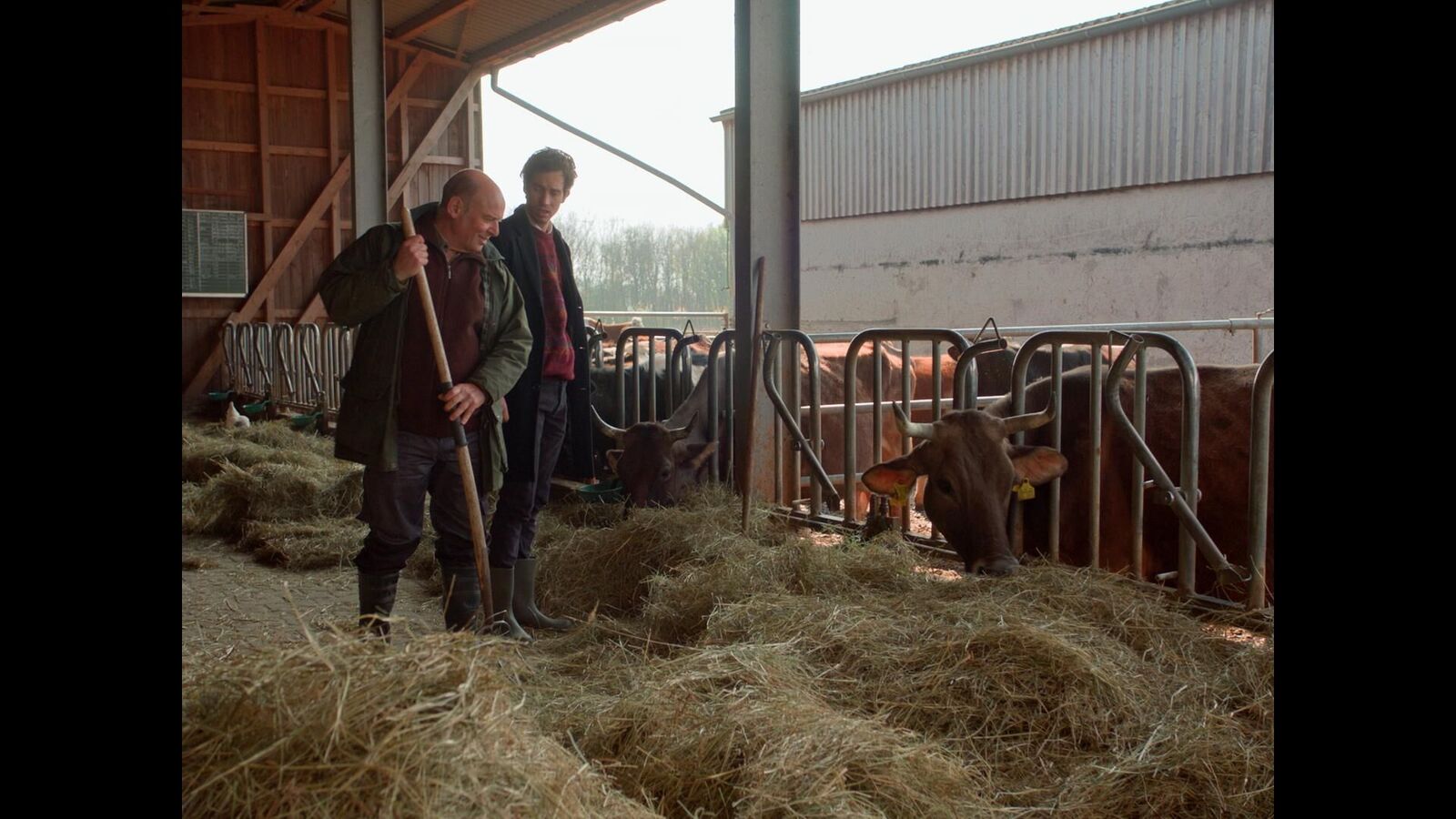 Galeriebild des Projekts Wahn ist eine blinde Kuh