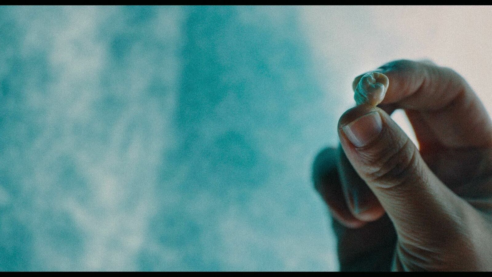 Titelbild des Projekts Red Wall Fiction