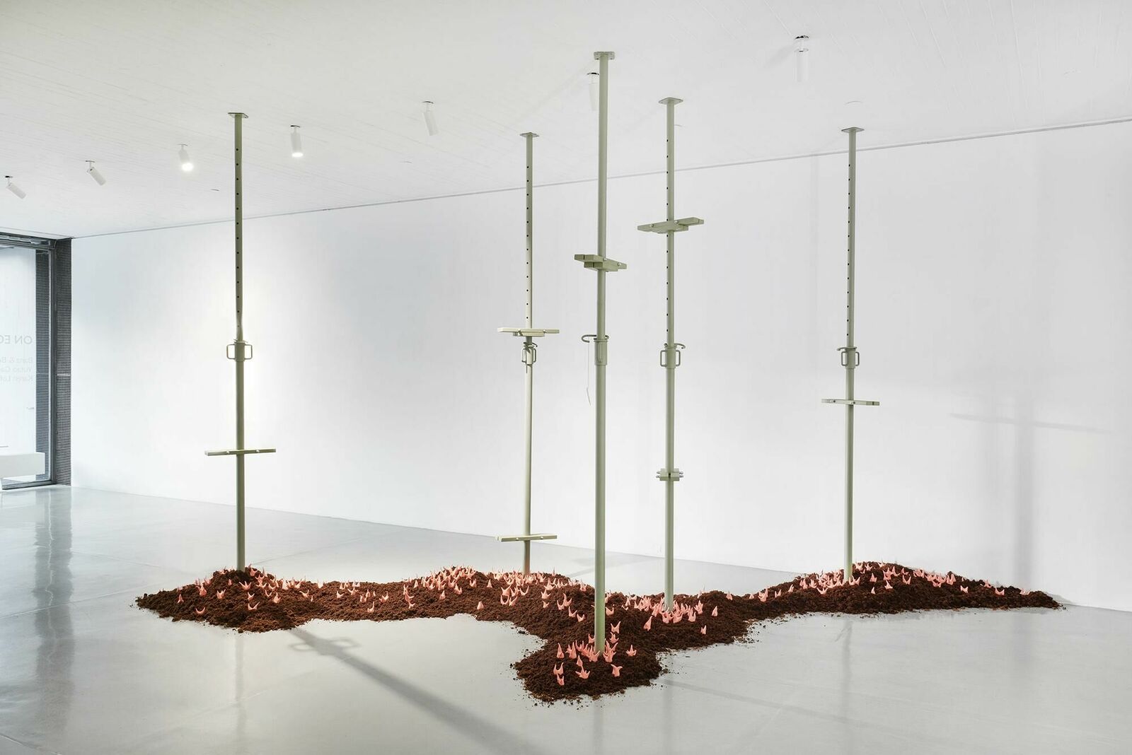 Titelbild des Projekts Walter Palmer Shot A Lion: The Sequel