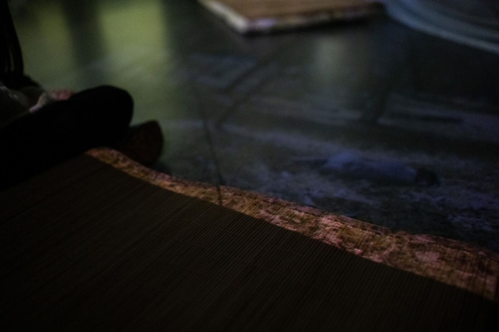 Galeriebild des Projekts Crimson Sap Flowing Through My Veins