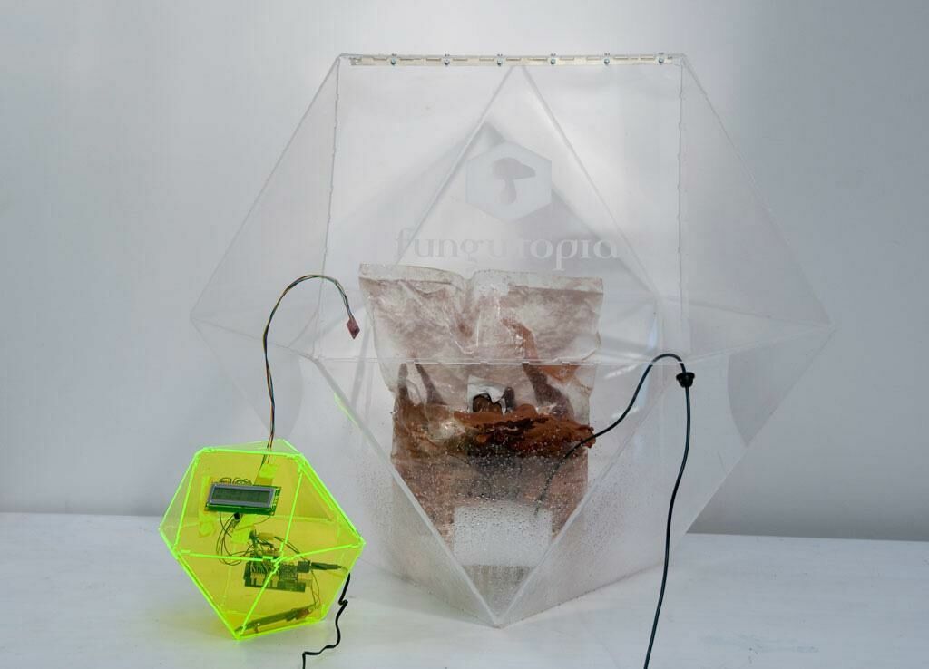 Titelbild des Projekts FUNGUTOPIA