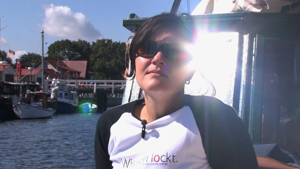 Galeriebild des Projekts Heimwärts