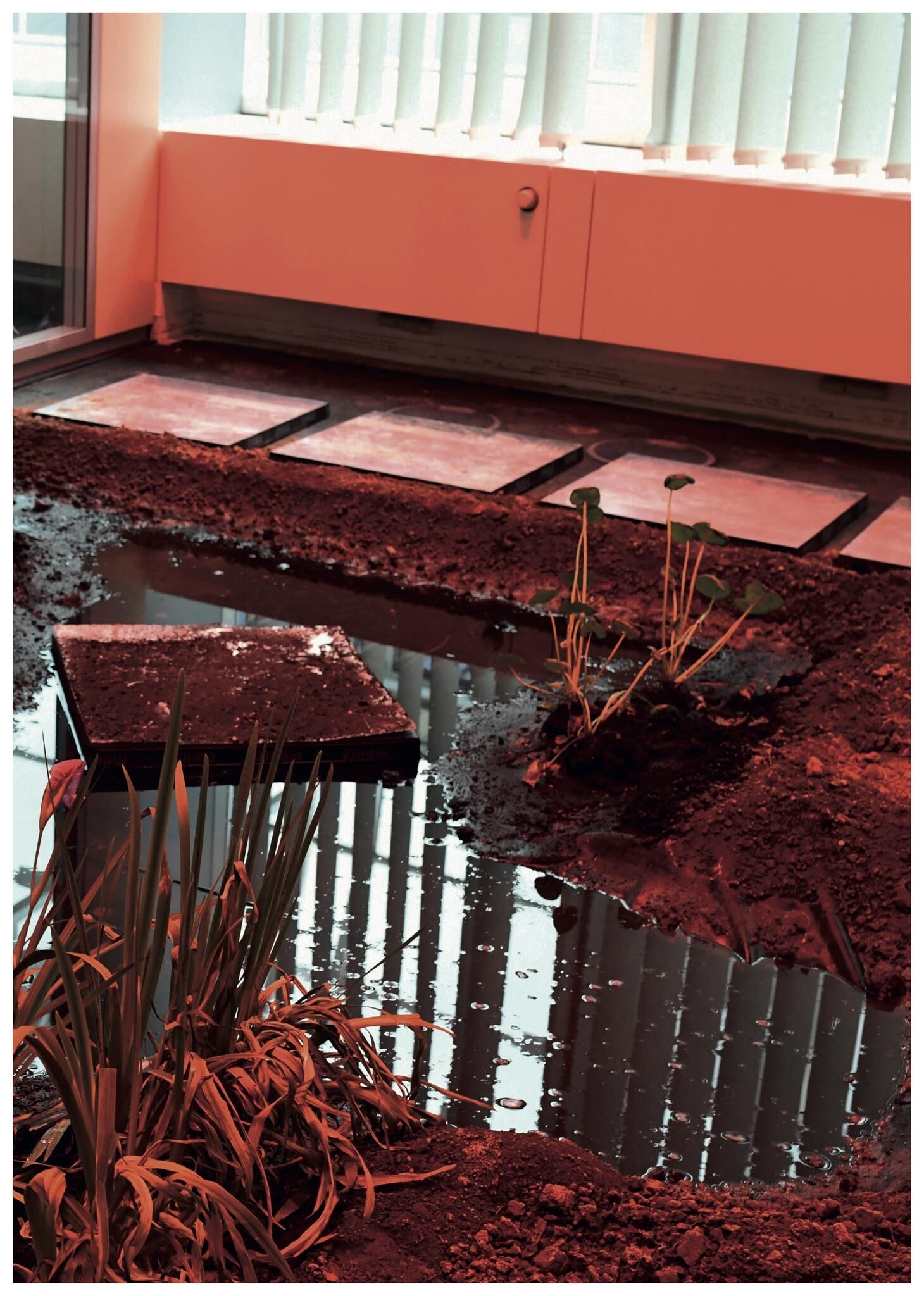 Galeriebild des Projekts FALSE SPRING