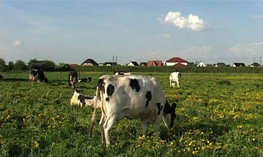 Titelbild des Projekts HUKL