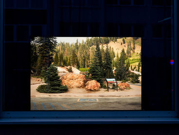 Julian Simon Pache, „human(‘)(s) (and) landscape(s)“; Ausstellungsparcours
