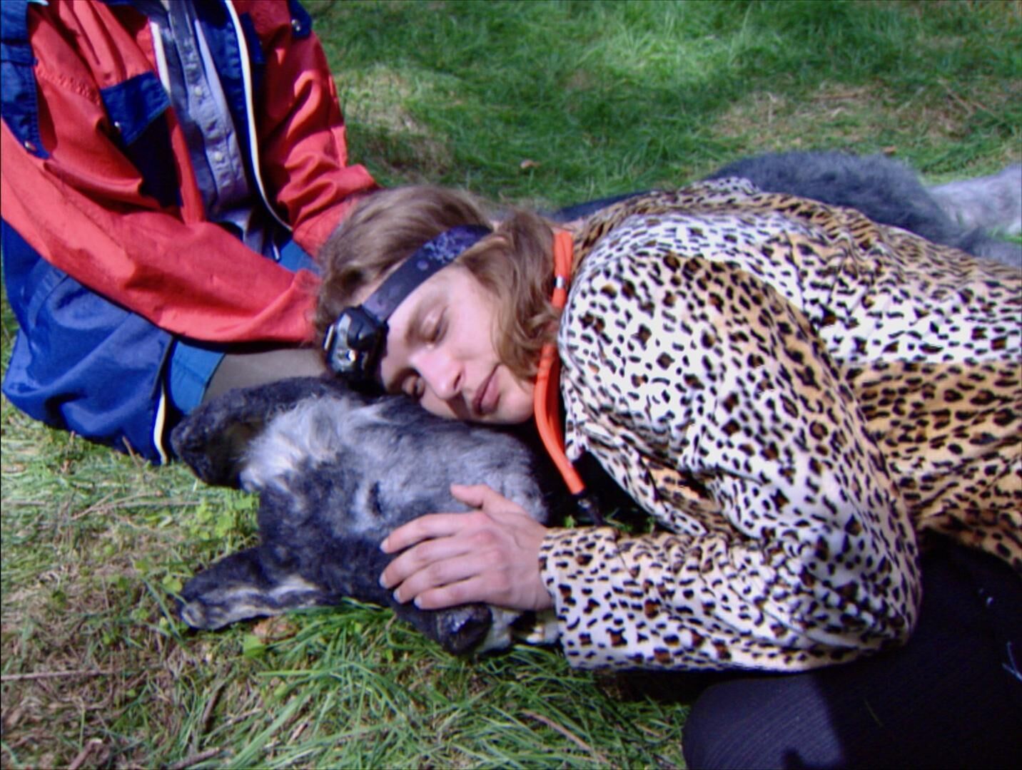 Galeriebild des Projekts Der Wolf