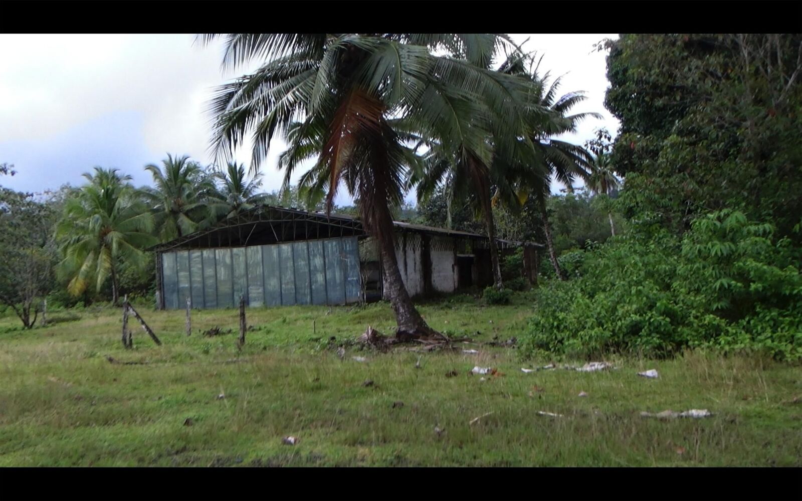 Galeriebild des Projekts EL SUEÑO (Director´s Cut)