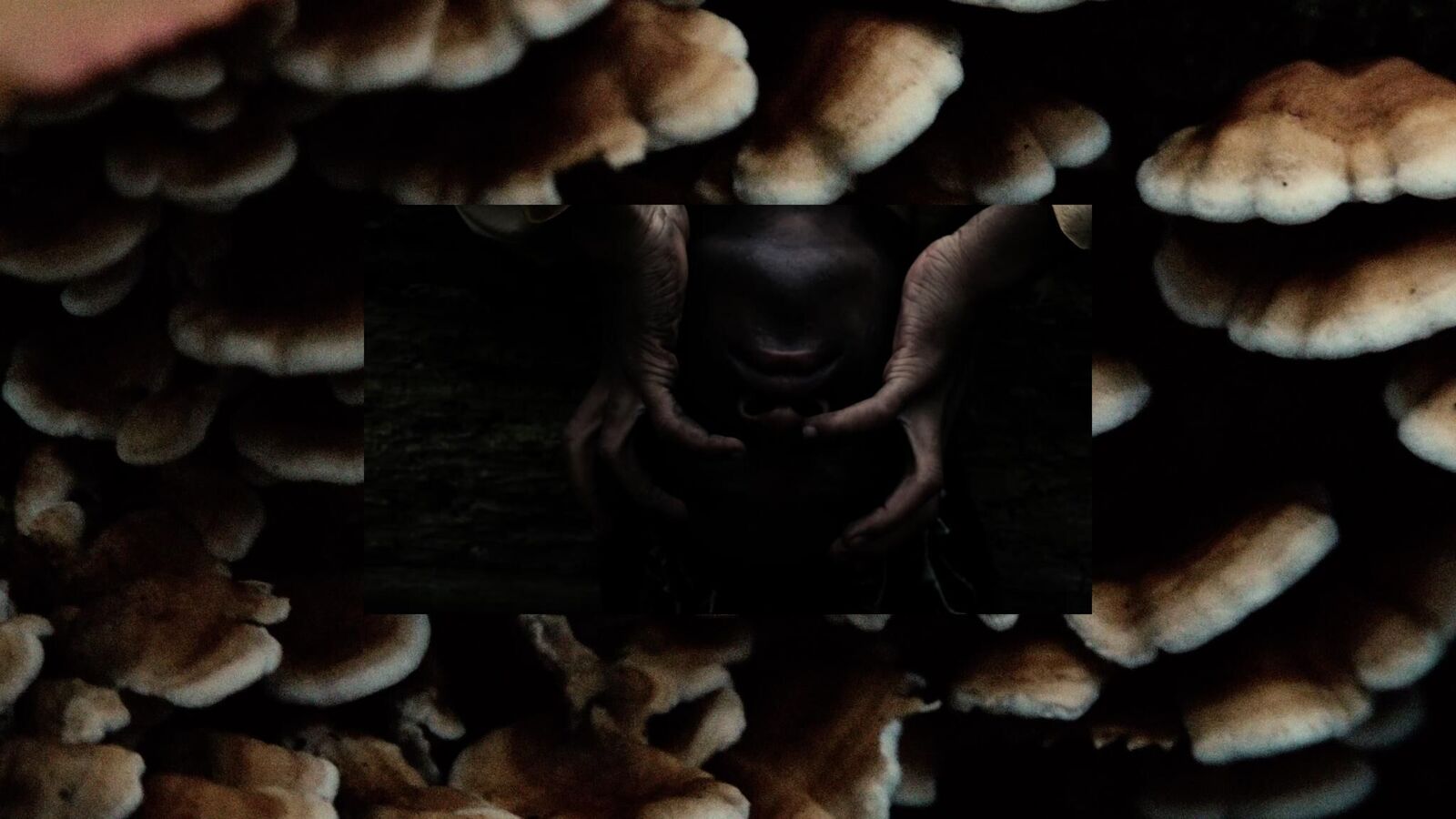 Galeriebild des Projekts An-Beten