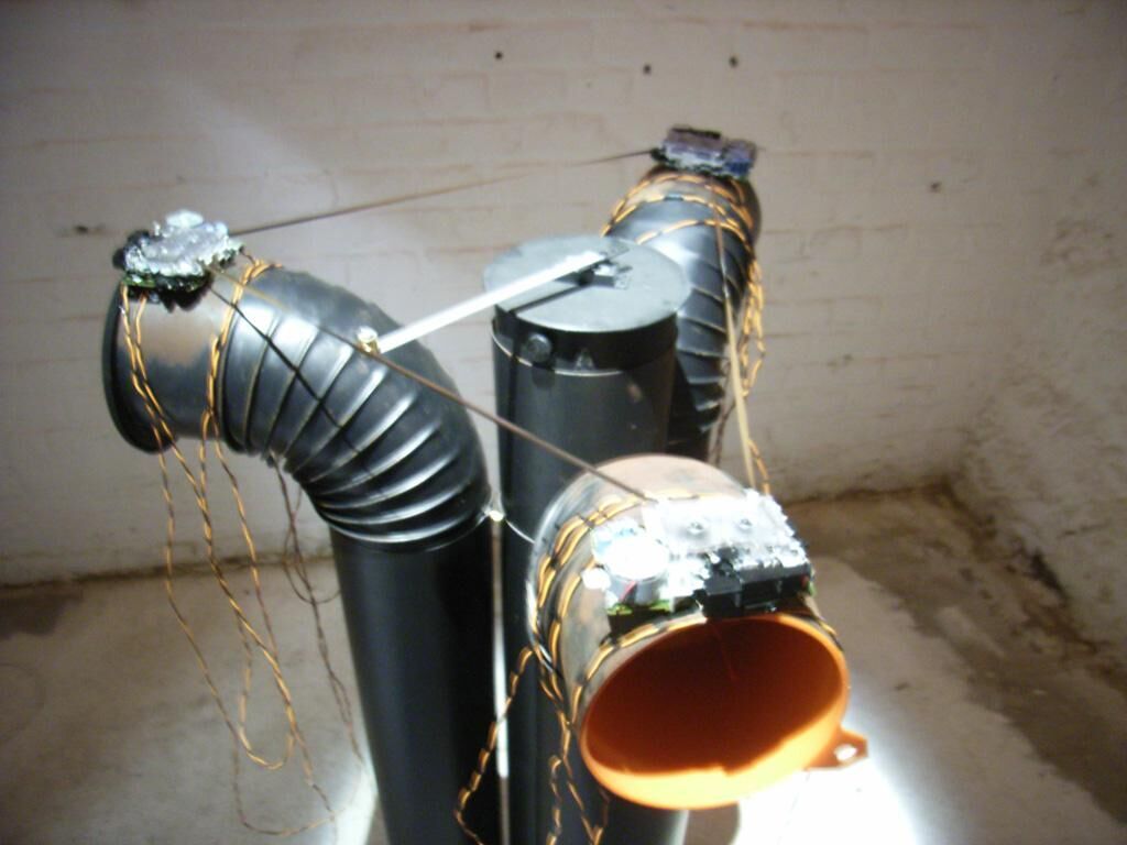 Galeriebild des Projekts Schmarotzer