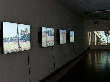 Sara Hoffmann, „Cherry Picking Paradise“; Ausstellungsparcours