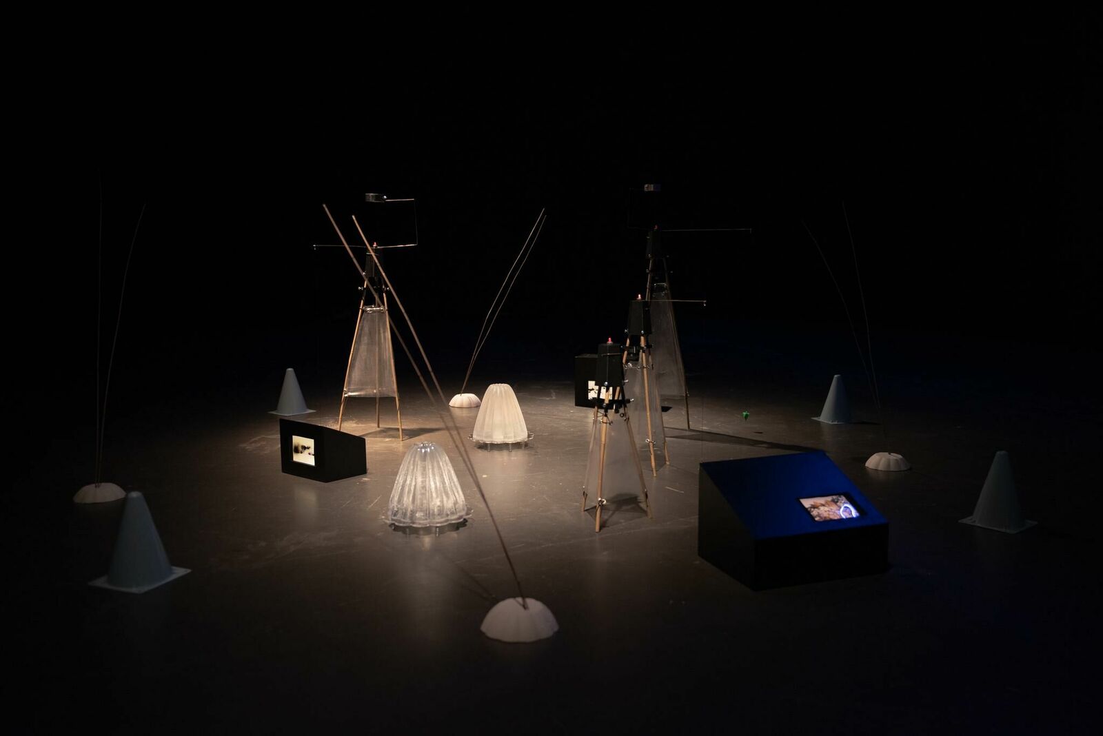 Galeriebild des Projekts Pasajera Nocturna