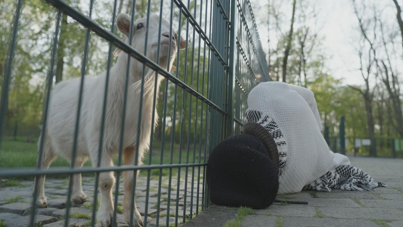 Galeriebild des Projekts report null - Leben unter Zieg*innen