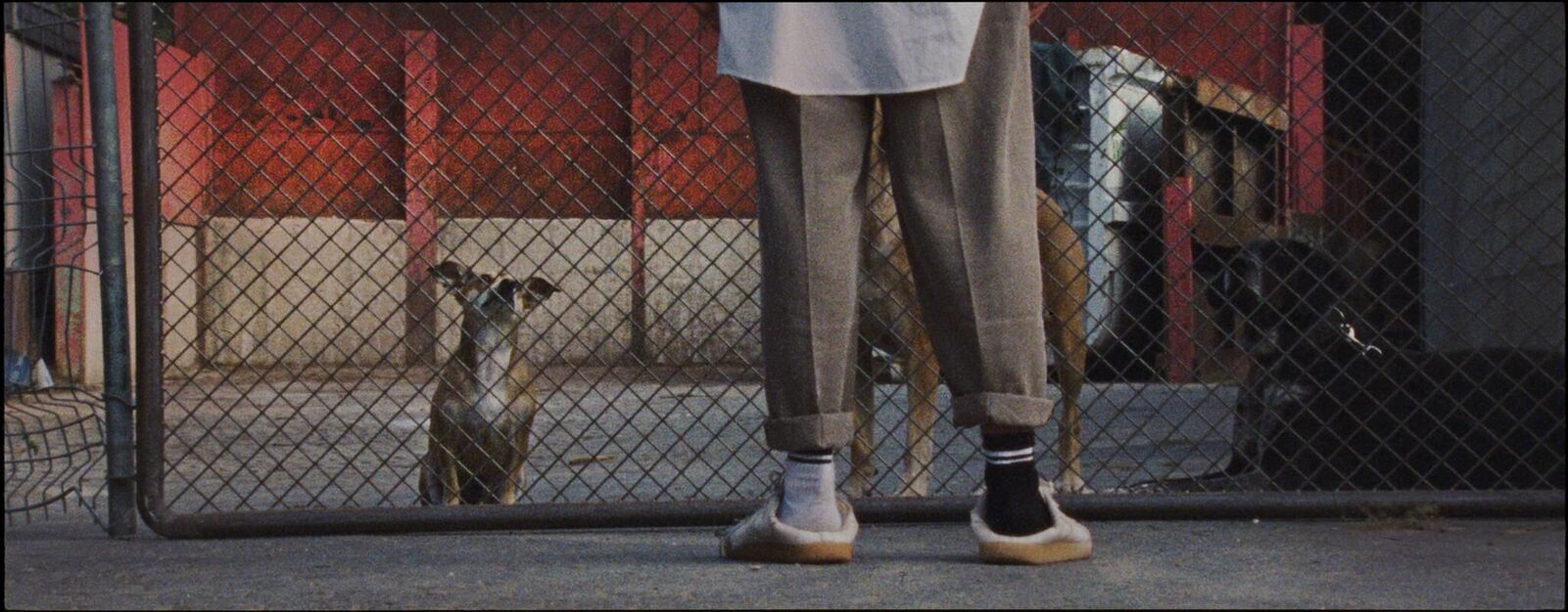 Galeriebild des Projekts Say Wuff!