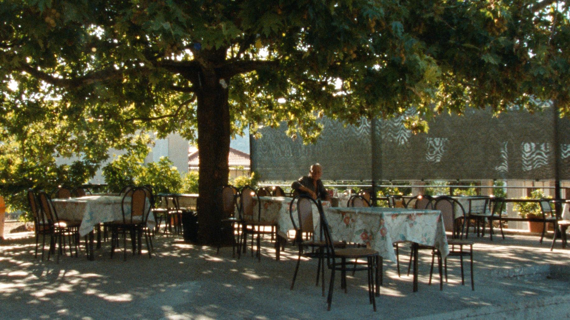 Galeriebild des Projekts Fasolákia 