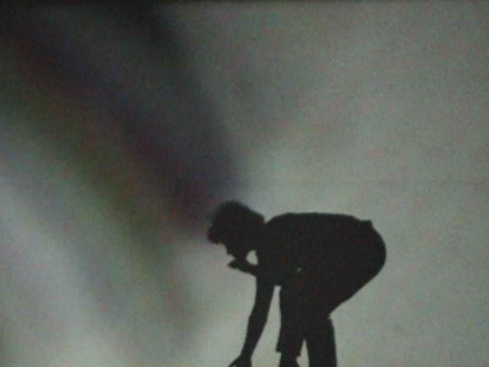 Galeriebild des Projekts interlateo