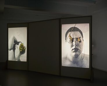 Galeriebild des Projekts Innenleben