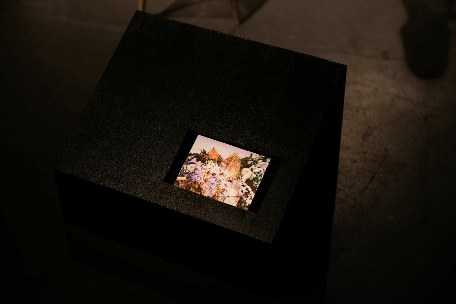 Galeriebild des Projekts Pasajera Nocturna