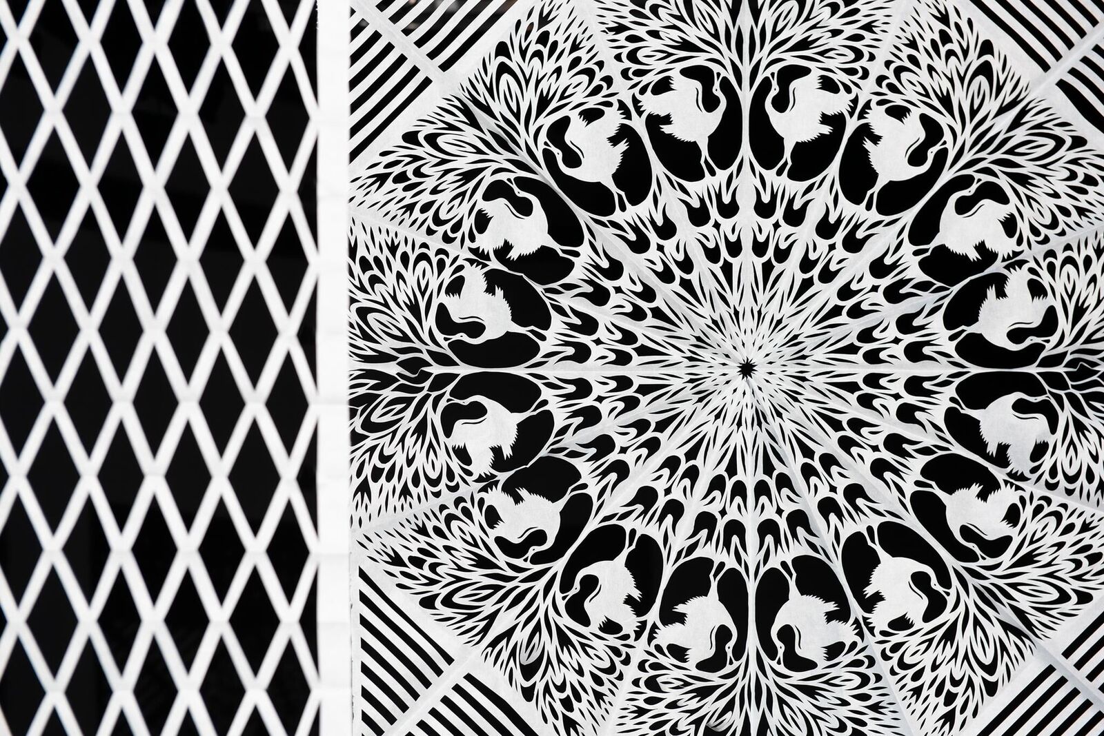 Galeriebild des Projekts An Uncontacted Tribe