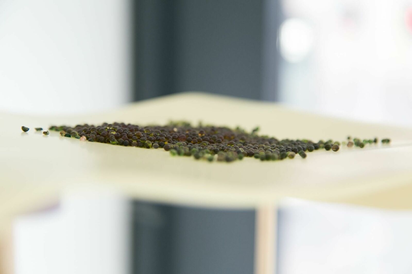 Galeriebild des Projekts You bug me and I bug you