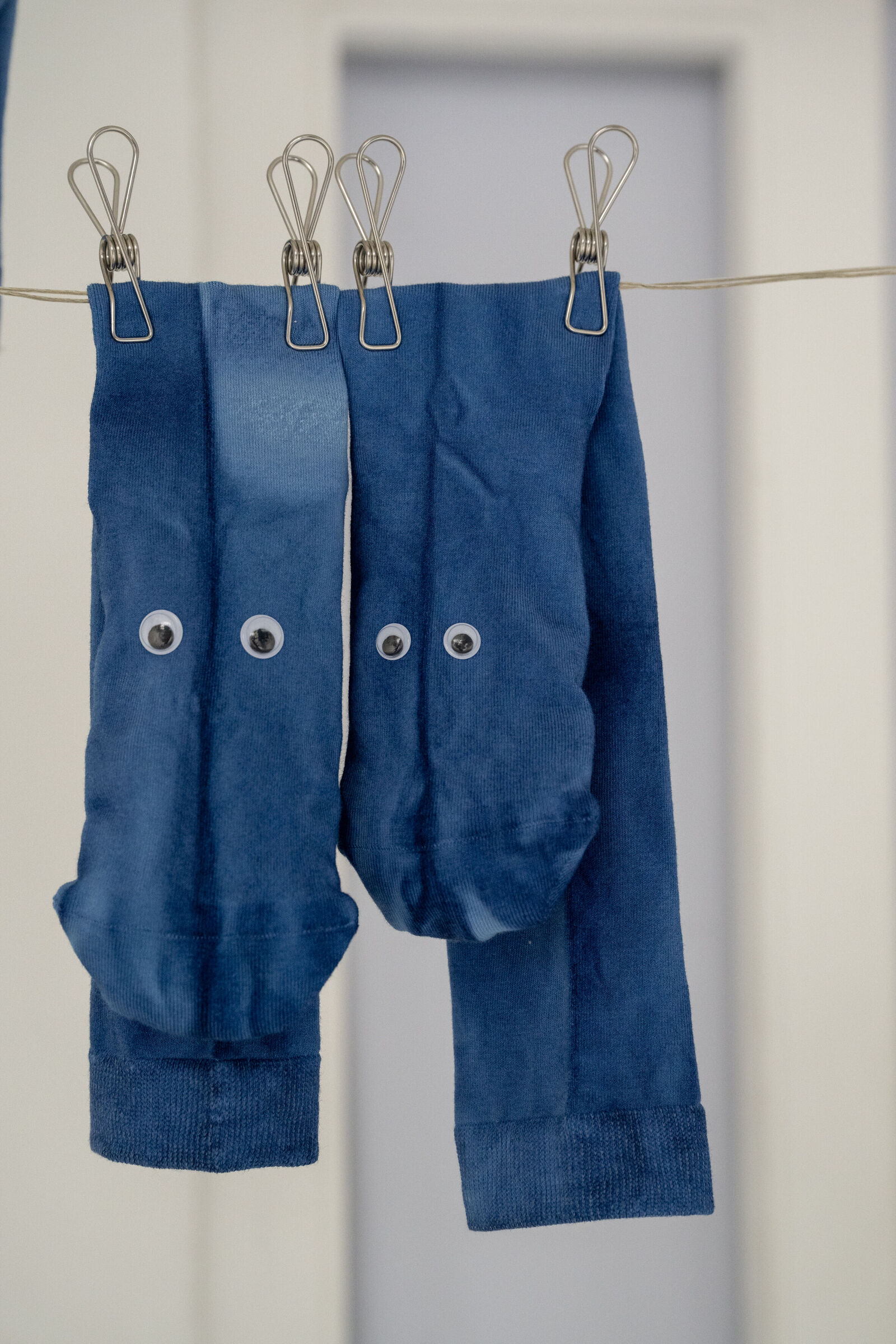 Johannes Hoffmann – Clothesline Socks (Herzen Blau) (Diplom)