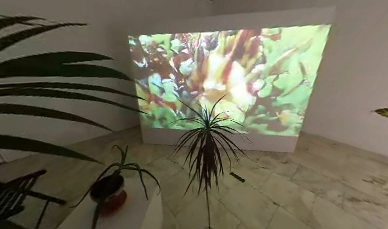 Titelbild des Projekts Svan/Nectar