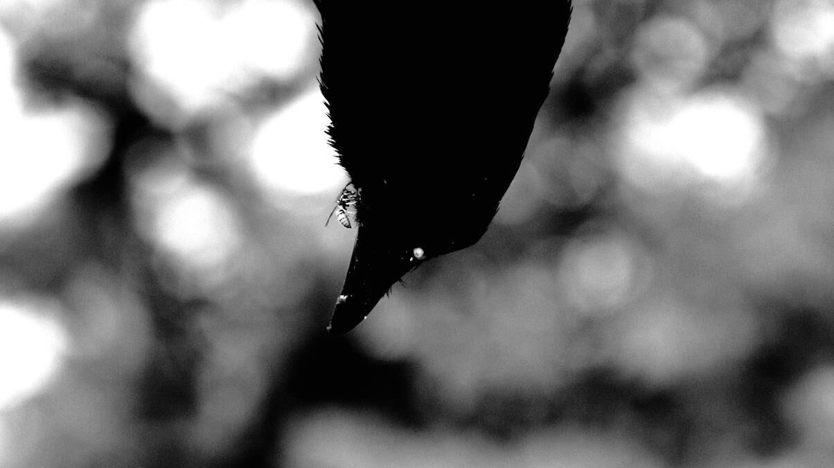 Galeriebild des Projekts Vater