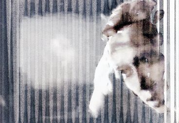 ölmondnacht Galeriebild des Projekts ölmondnacht