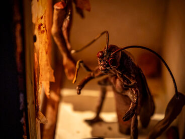 Animationsstudio