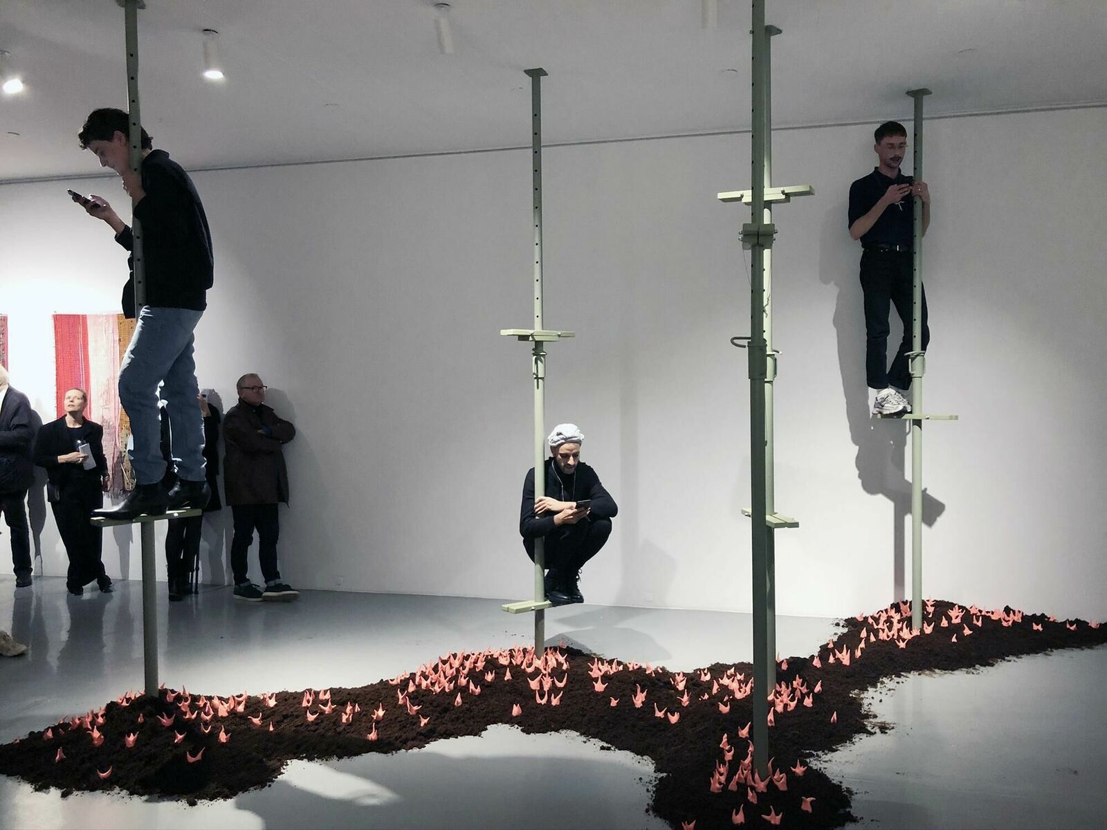 Galeriebild des Projekts Walter Palmer Shot A Lion: The Sequel