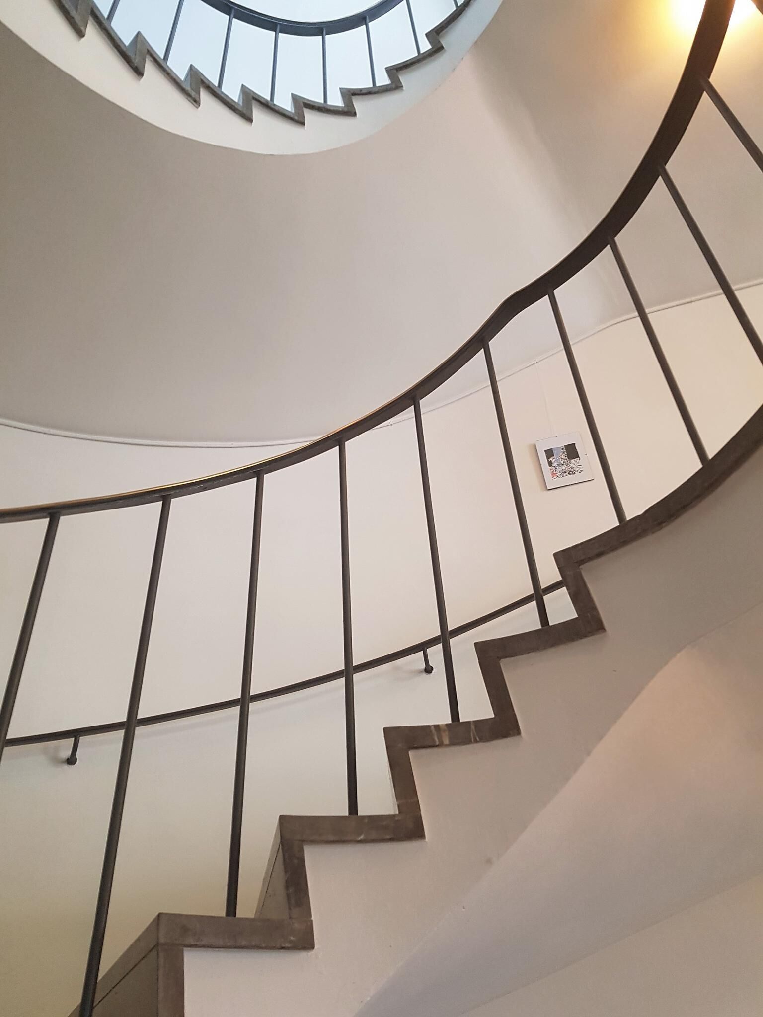 Galeriebild des Projekts Körper und Blumen