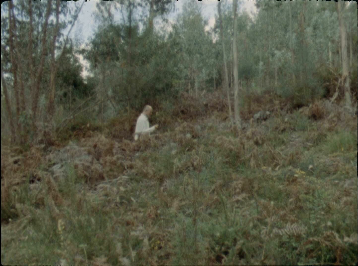 Titelbild des Projekts Walbärte