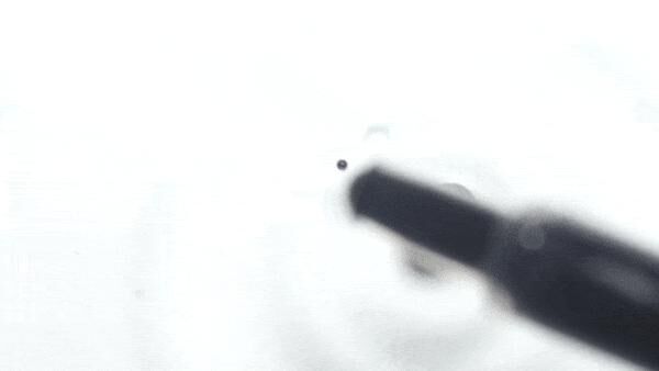 Titelbild des Projekts Creation as experiment