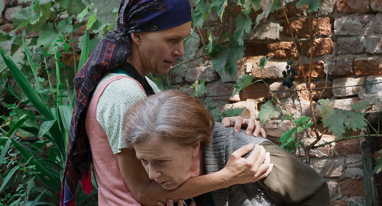 Galeriebild des Projekts Francis' Besuch