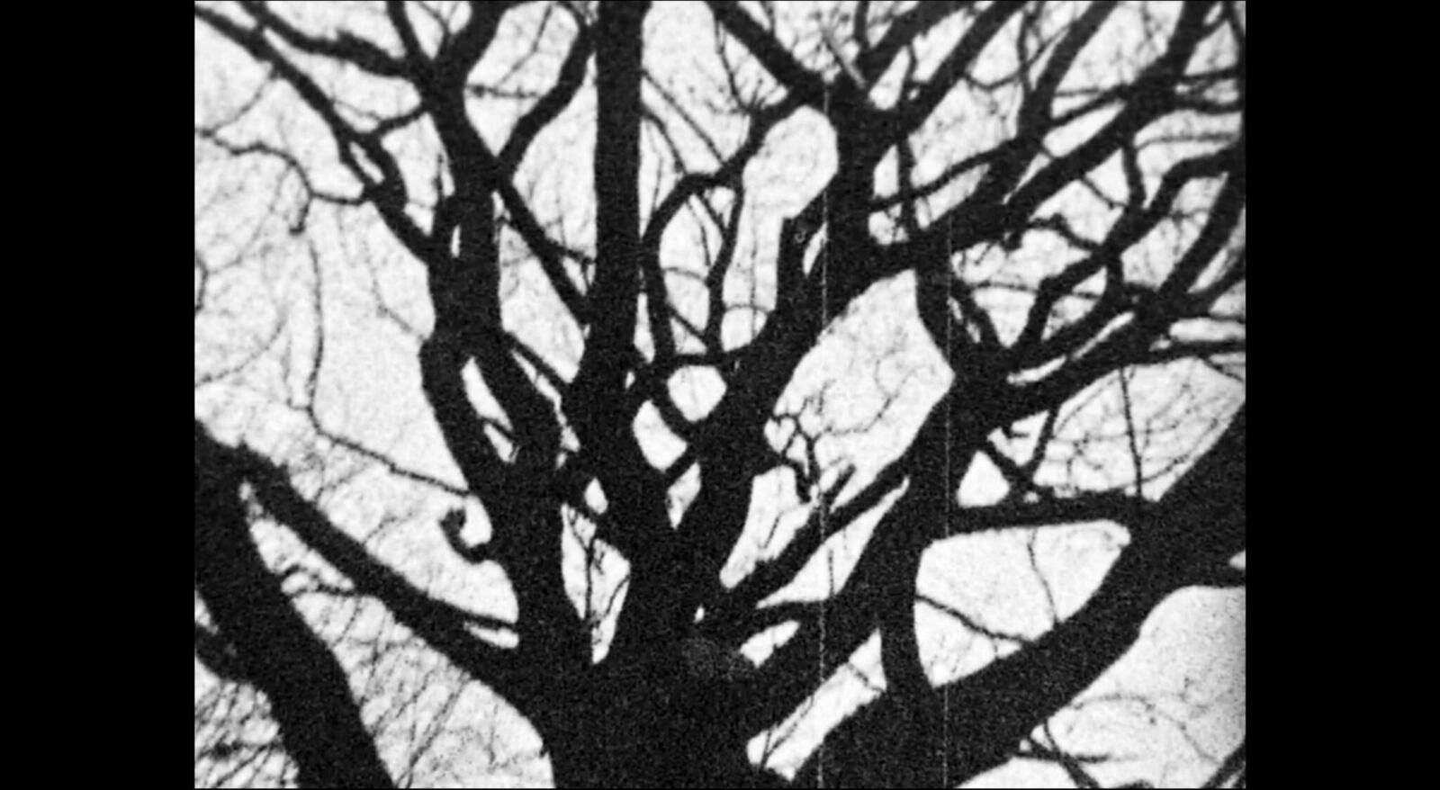 Galeriebild des Projekts Movie Machine