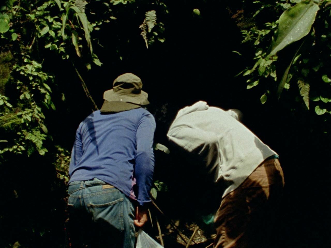 Titelbild des Projekts Parientes del Valle Luminoso