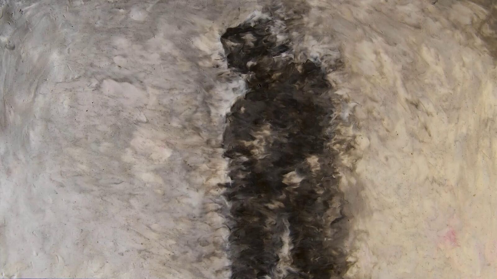 Galeriebild des Projekts GAZE