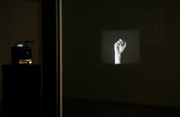 Case #44 MIMIKRY Galeriebild des Projekts Case #44 MIMIKRY